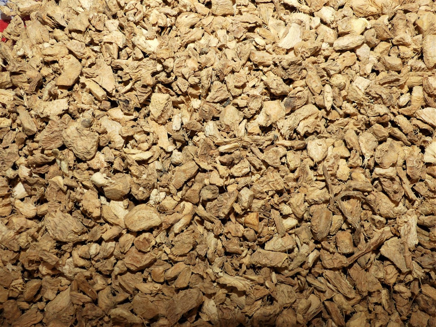 Gingembre (racine) Gingembre racine vrac 100g Zingiber officinale tisane plante sèche