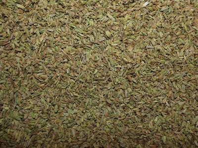 Fenouil (semence) Fenouil semence vrac 200g Foeniculum vulgare tisane plante sèche