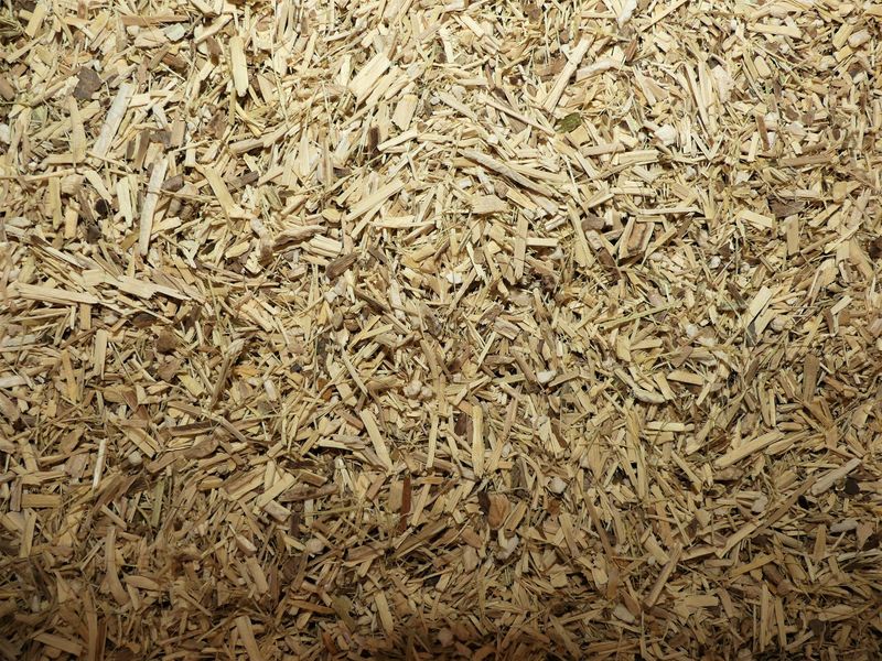 Eleutherocoque racine vrac 100g Eleutherococcus senticosus tisane plante sèche