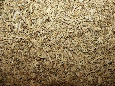 Eleuthérocoque (racine) Eleutherocoque racine vrac 100g Eleutherococcus senticosus tisane plante sèche