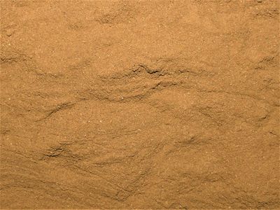 Cannelle (écorce) Cannelle poudre vrac 100g Cinnamomum zeylanicum epice naturelle