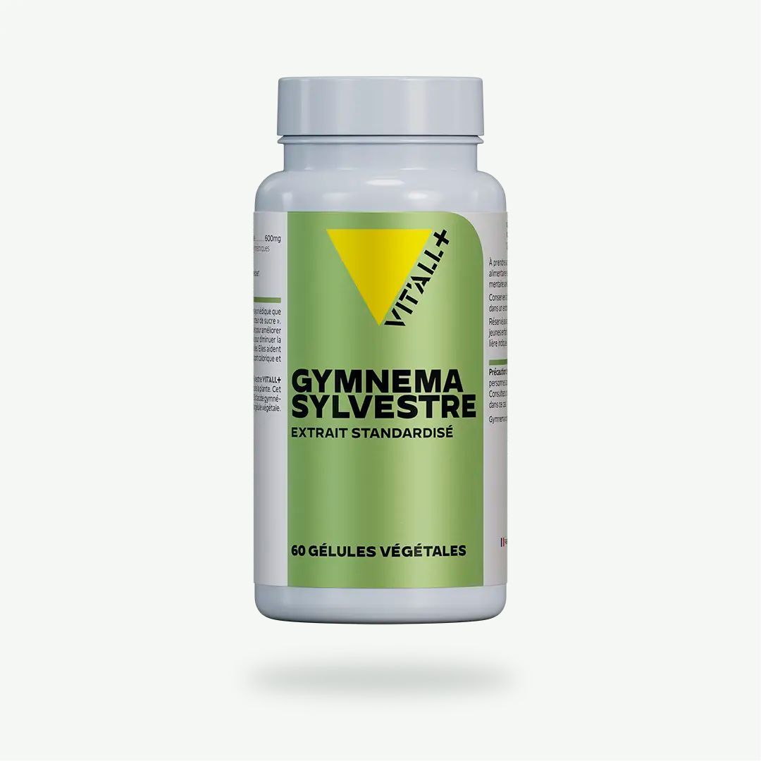 Gymnema Sylvestre 600 mg – 60 gélules Gymnema Sylvestre Vit’All+ – Extrait de feuilles 600 mg standardisé à 25 % d’acides gymnémiques – 60 gélules