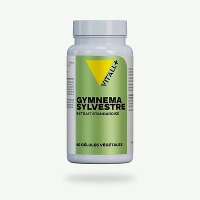 Gymnema Sylvestre 600 mg – 60 gélules Gymnema Sylvestre Vit’All+ – Extrait de feuilles 600 mg standardisé à 25 % d’acides gymnémiques – 60 gélules