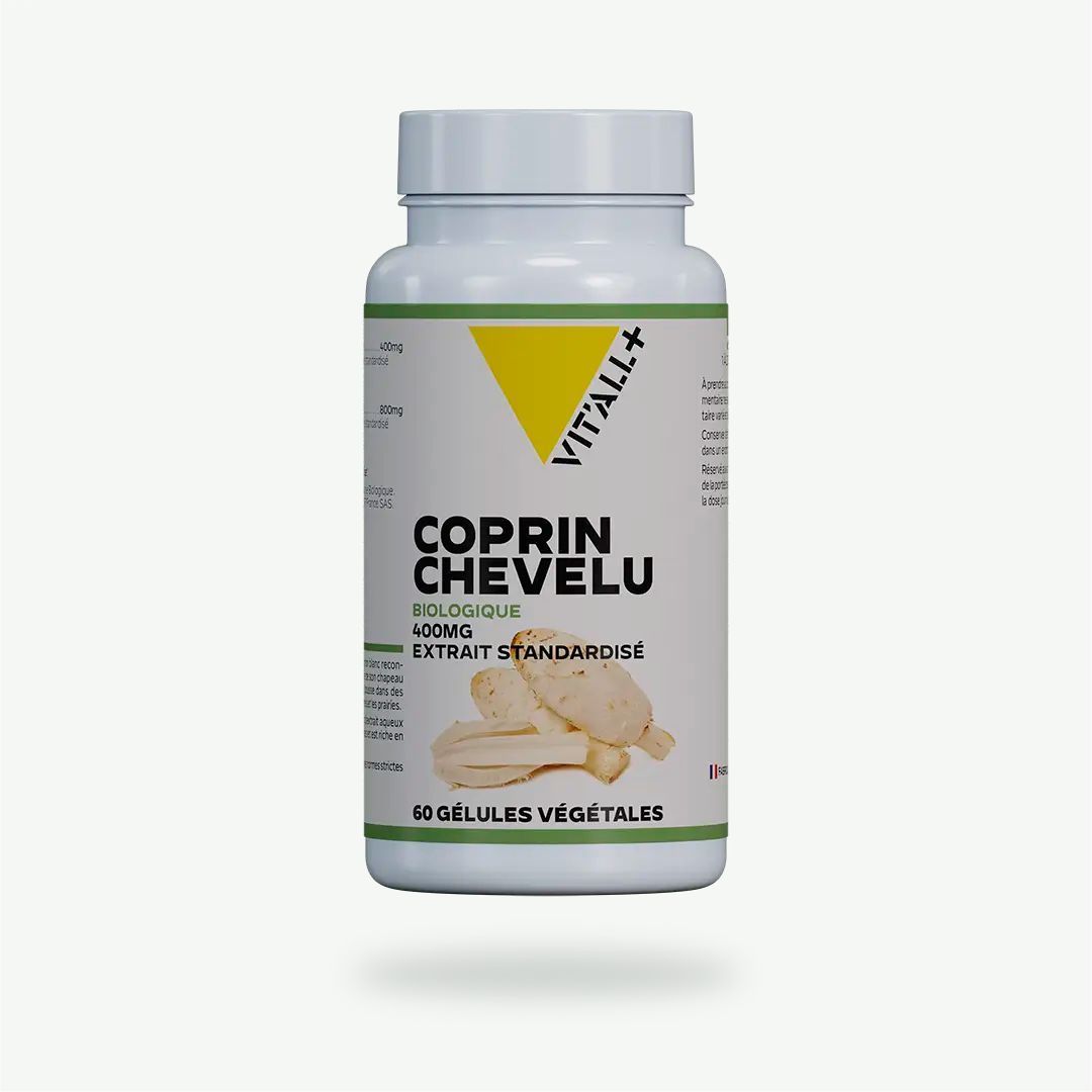 Coprin Chevelu Bio 400 mg Vit’All+ – Coprinus comatus standardisé à 30 % de polysaccharides – 60 gélules