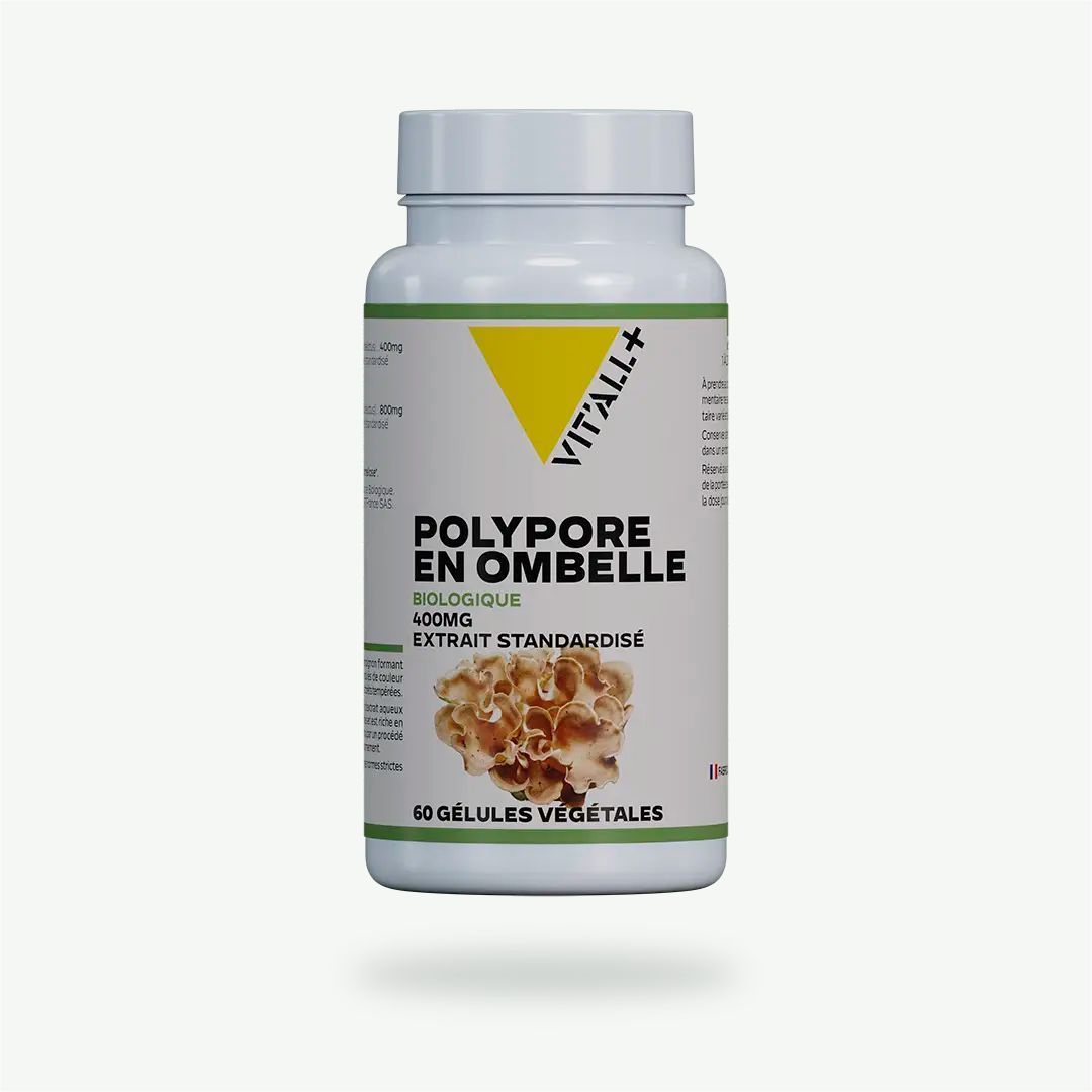 Polypore Bio 400 mg – 60 gélules Polypore Bio 400 mg Vit’All+ – Extrait de carpophore de Polyporus umbellatus standardisé à 30 % de polysaccharides.