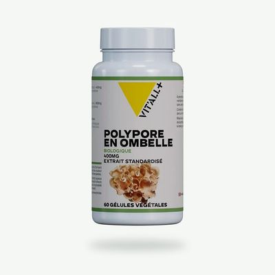 Polypore Bio 400 mg – 60 gélules Polypore Bio 400 mg Vit’All+ – Extrait de carpophore de Polyporus umbellatus standardisé à 30 % de polysaccharides.