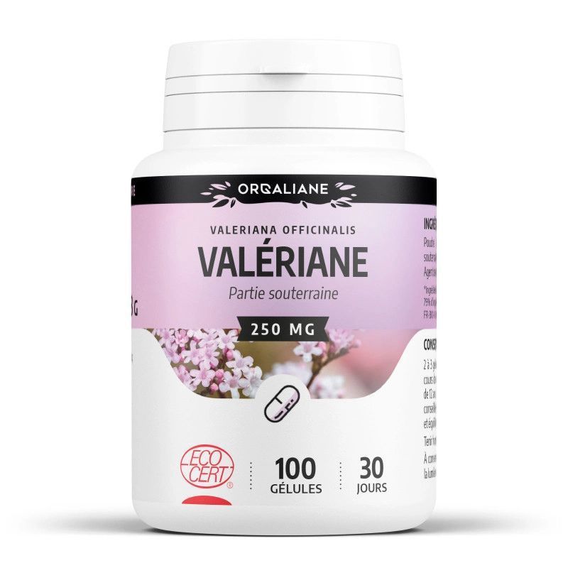 Valériane BIO GPH Diffusion 250 mg – Valeriana officinalis – 100 gélules