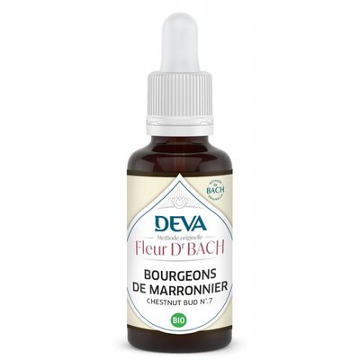 Bourgeons De Marronnier - Chestnut Bud N°7 Bio 30 ML marronnier inde bio elixir floral bach 30 ml aesculus hippocastanum chestnut bud compte gouttes floritherapie