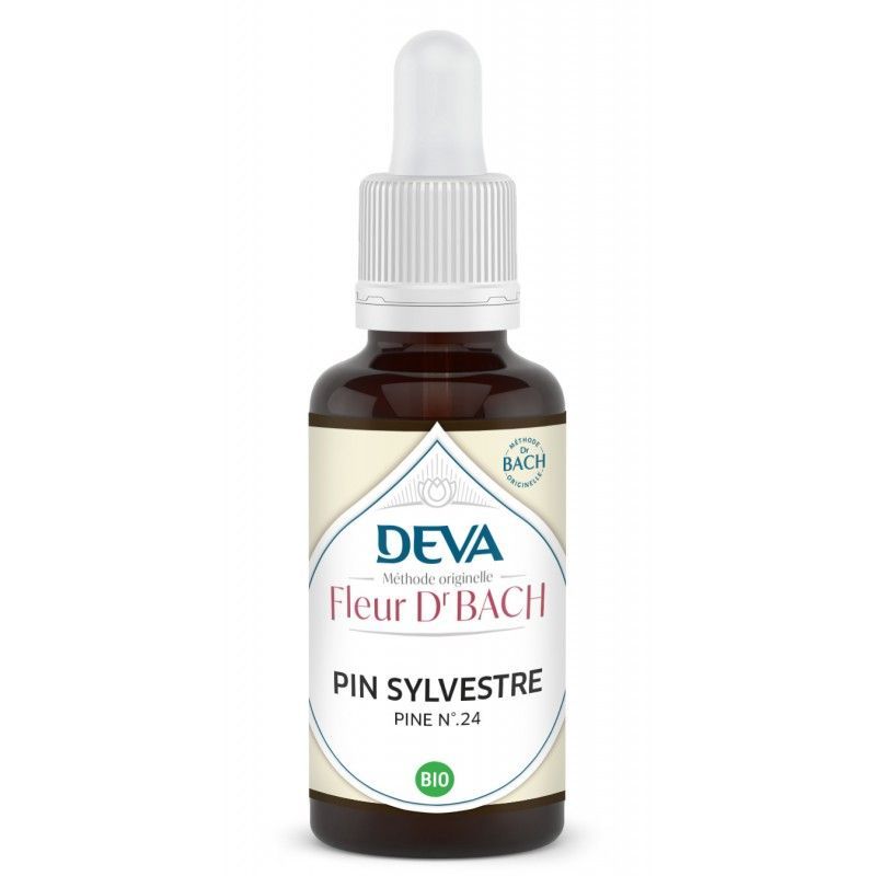Pin Sylvestre - Pine N°24 Bio 30 ML pin sylvestre bio 30 ml elixir floral bach pine pinus sylvestris culpabilite estime de soi florithérapie
