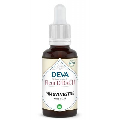 pin sylvestre bio 30 ml elixir floral bach pine pinus sylvestris culpabilite estime de soi florithérapie