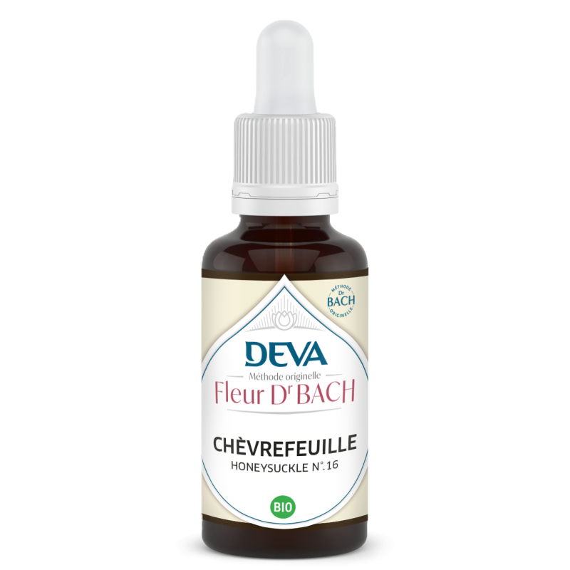 Chèvrefeuille - Honeysuckle N°16 Bio 30 ML chevrefeuille bio elixir floral bach 30 ml lonicera caprifolium honeysuckle compte gouttes florithérapie