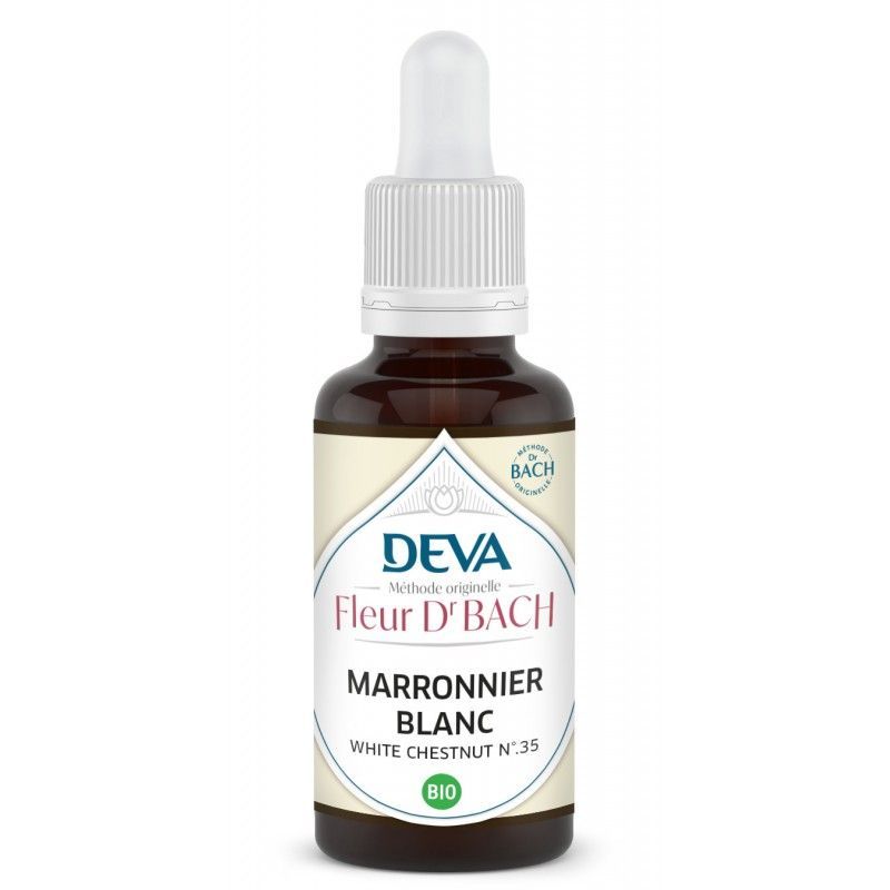 marronnier blanc bio 30 ml elixir floral bach white chestnut aesculus hippocastanum pensées répétitives florithérapie