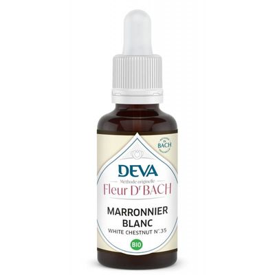marronnier blanc bio 30 ml elixir floral bach white chestnut aesculus hippocastanum pensées répétitives florithérapie
