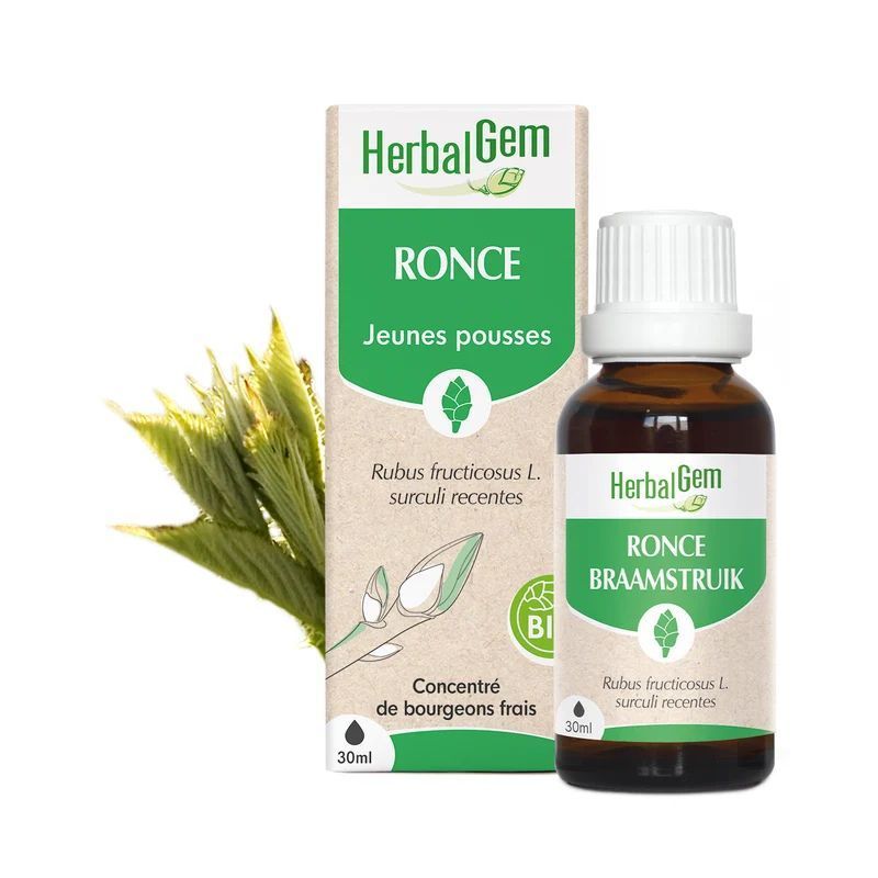 Bourgeon de Ronce Bio HerbalGem – 30 ml Bourgeon de Ronce Bio HerbalGem, macérat de jeunes pousses de Rubus fruticosus, flacon 30 ml