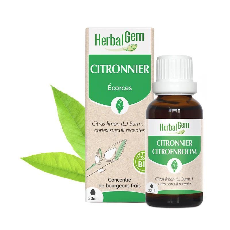 Bourgeon de Citronnier Bio HerbalGem – 30 ml Citronnier Bio HerbalGem macérat glycériné d’écorces fraîches de Citrus limon, flacon compte-gouttes 30 ml