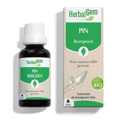 Pin herbalgem 30 ml bourgeons pinus montana gemmotherapie Herboristerie Cousin Wiame Wattrelos.