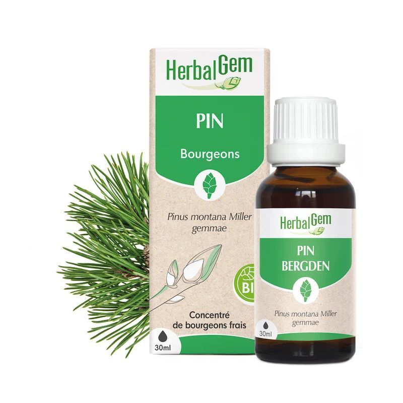 Bourgeon de Pin Bio HerbalGem – 30 ml Bourgeon de Pin Bio HerbalGem, macérat de bourgeons frais de Pinus montana, flacon 30 ml