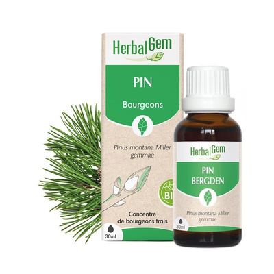 Bourgeon de Pin Bio HerbalGem – 30 ml Bourgeon de Pin Bio HerbalGem, macérat de bourgeons frais de Pinus montana, flacon 30 ml