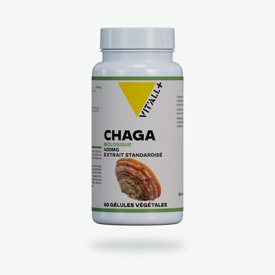 Chaga Bio 400 mg Vit’All+ – Extrait d’Inonotus obliquus standardisé à 30 % de polysaccharides et 2 % de triterpènes