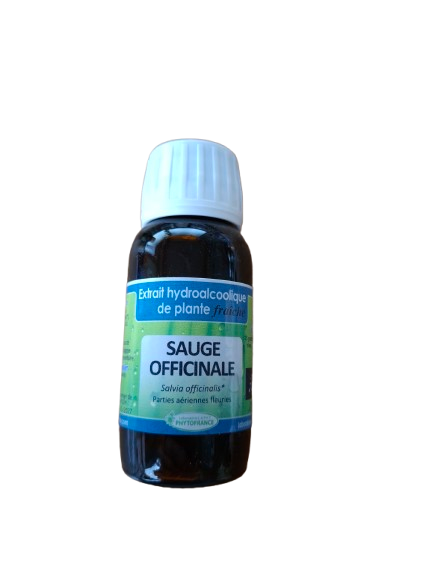 Sauge 60 ml sauge officinale extrait hydroalcoolique bio 60 ml salvia officinalis herberie cousin wiame
