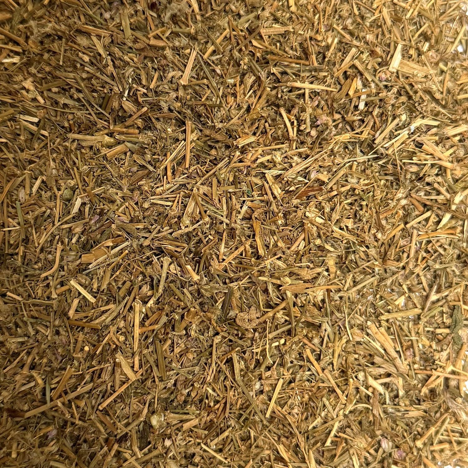 Sabline rouge partie aérienne vrac 100g Arenaria rubra tisane plante sèche