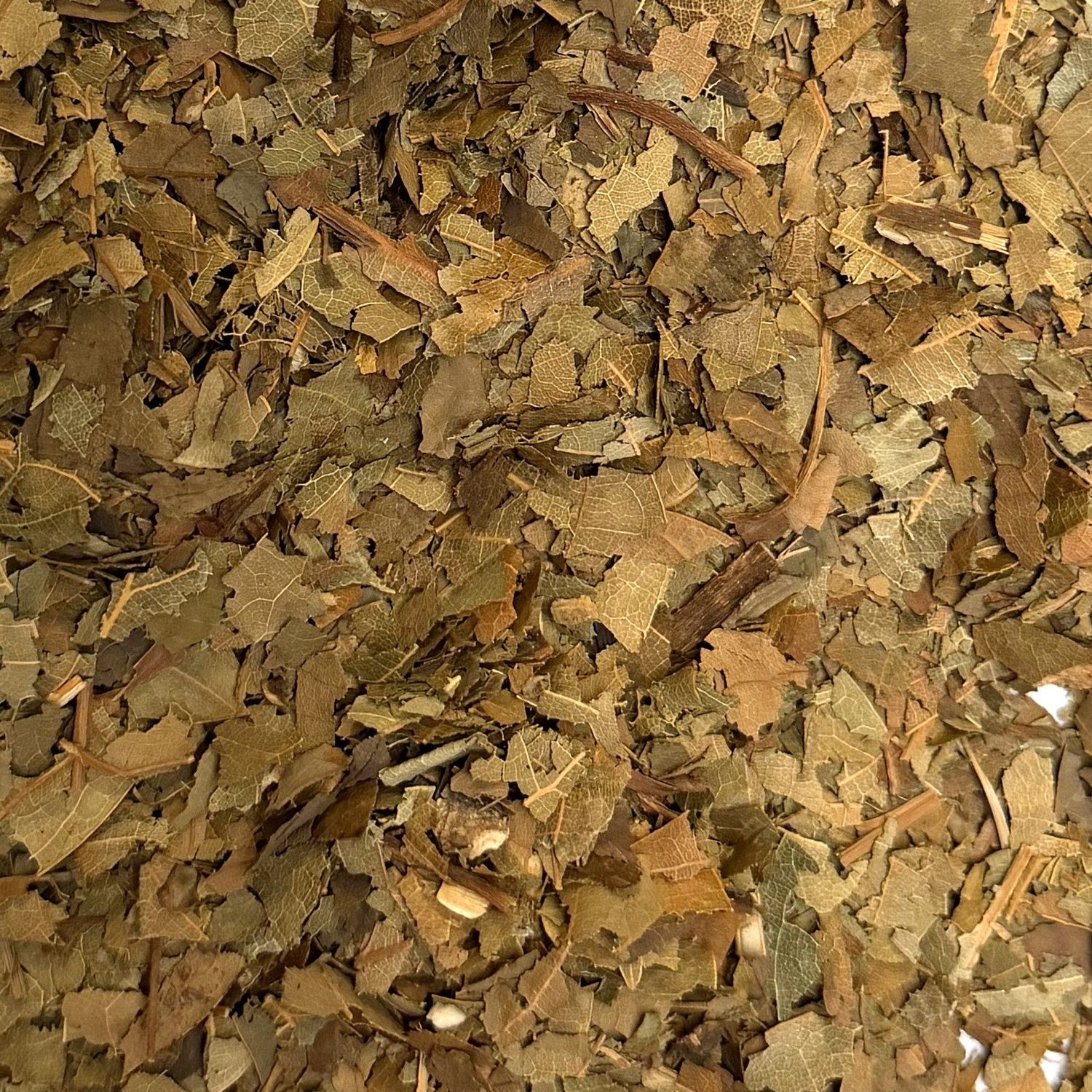 Feuille avocatier vrac 100g Persea americana tisane plante sèche