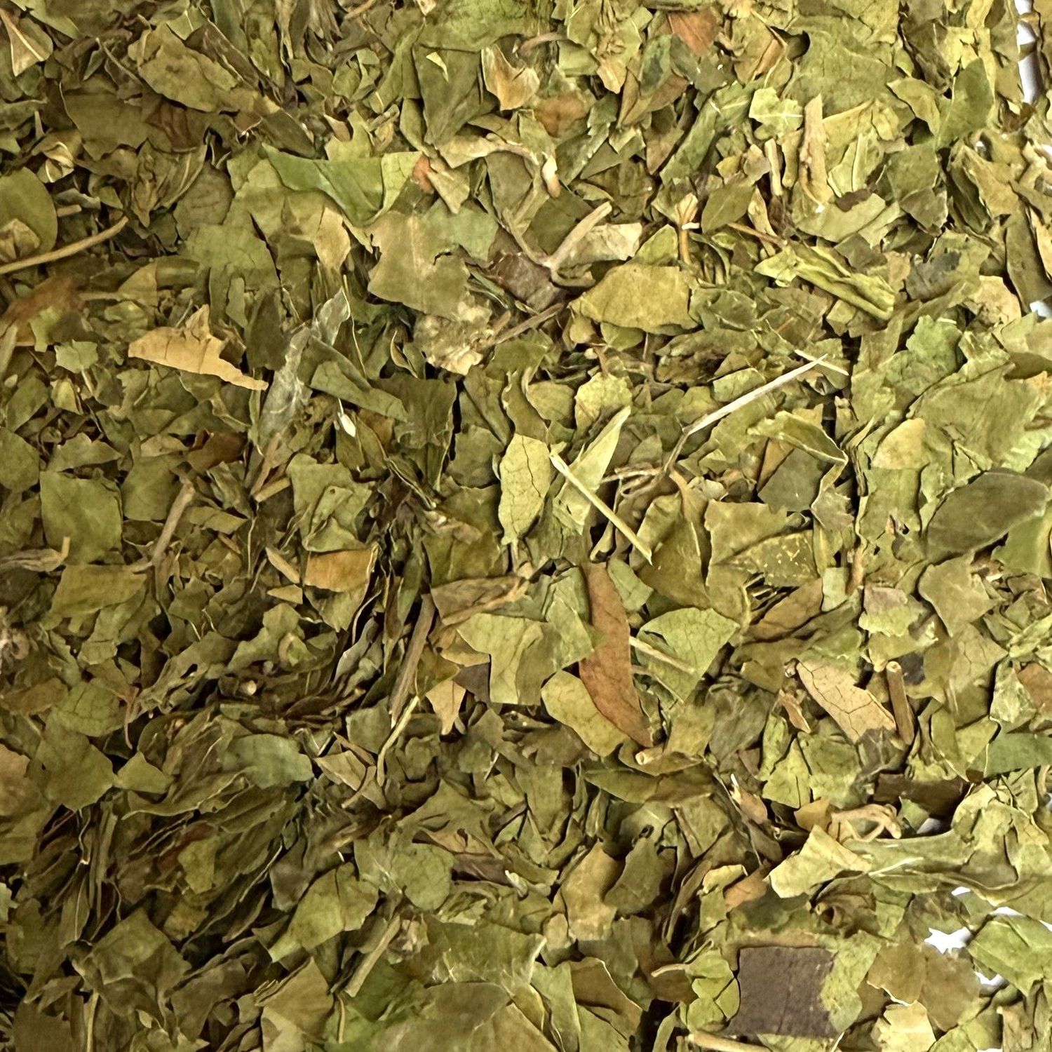 Gymnema feuille vrac 100g Gymnema sylvestre tisane plante sèche