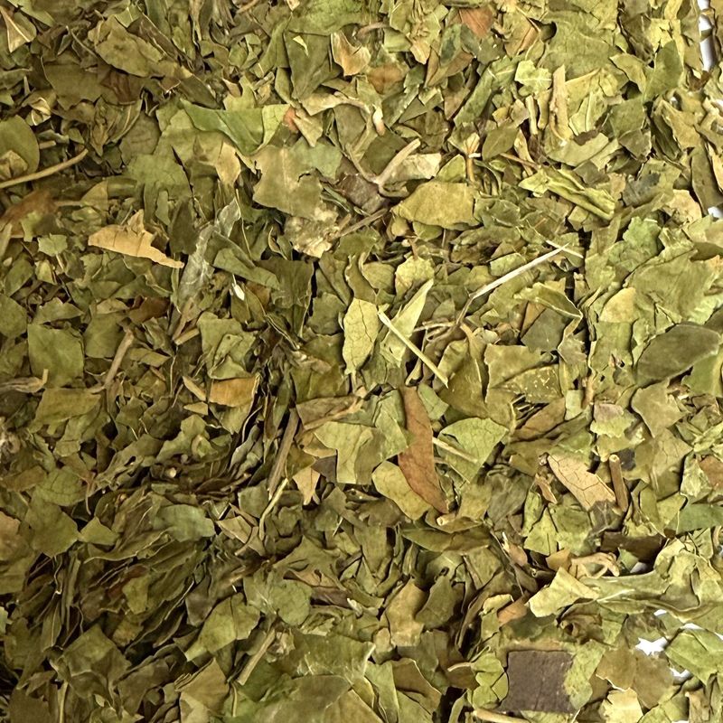 Gymnema Sylvestris (feuille) Gymnema feuille vrac 100g Gymnema sylvestre tisane plante sèche