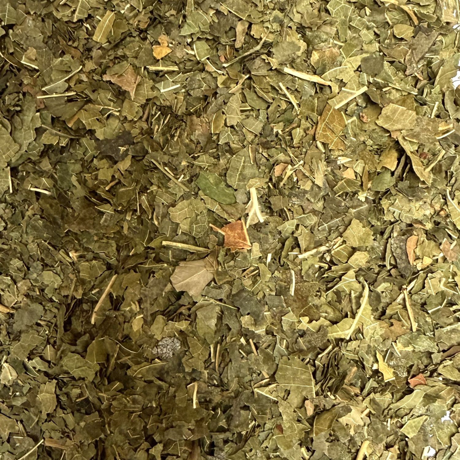 Murier feuille vrac 100g Morus alba tisane plante sèche