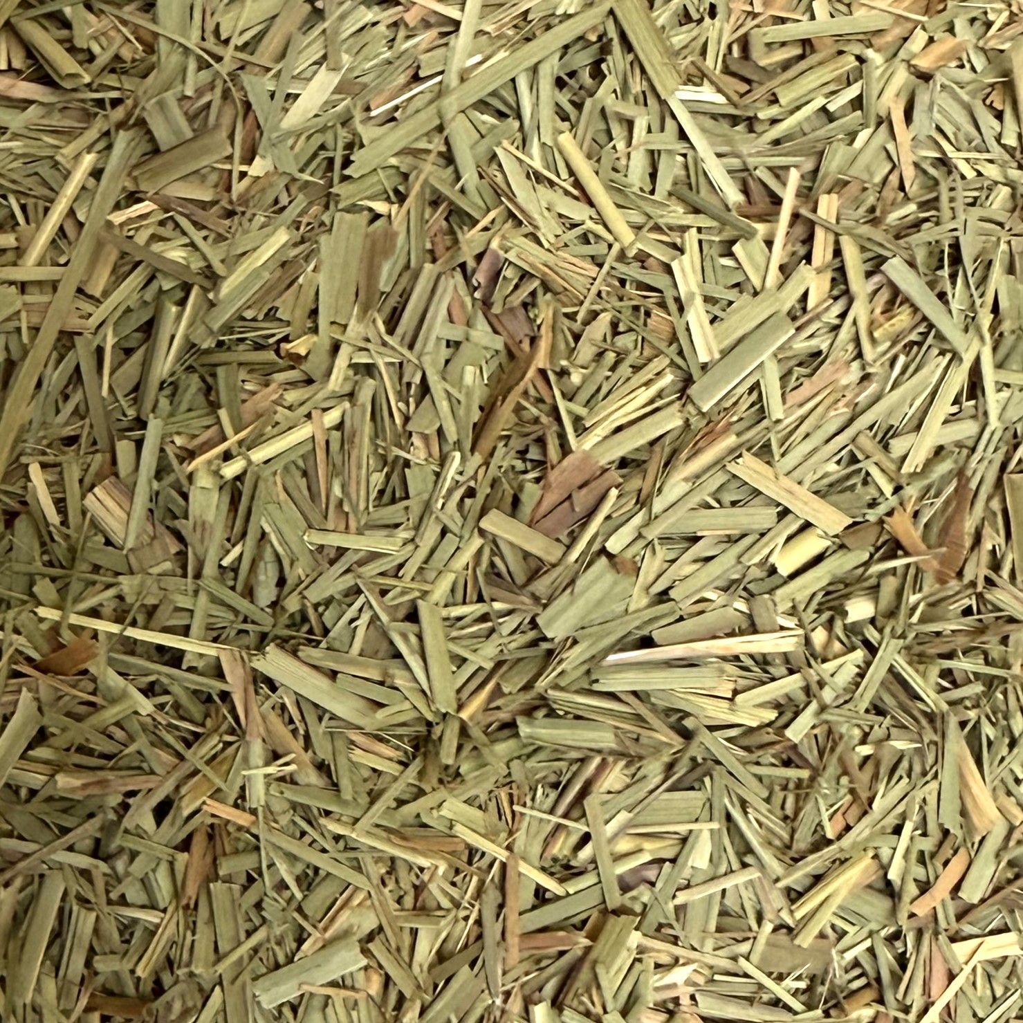 Citronnelle vrac 100g Cymbopogon citratus tisane plante sèche lemon grass