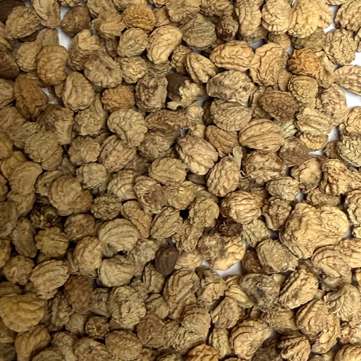 Capucine graine vrac 100g Tropaeolum majus tisane plante sèche
