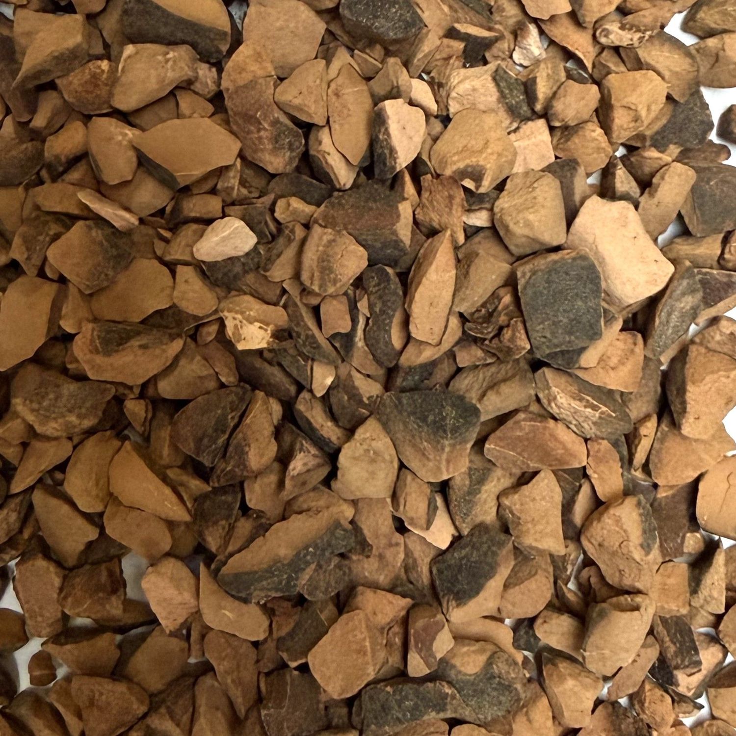 Kola graine vrac 100g Cola nitida tisane plante sèche noix de kola