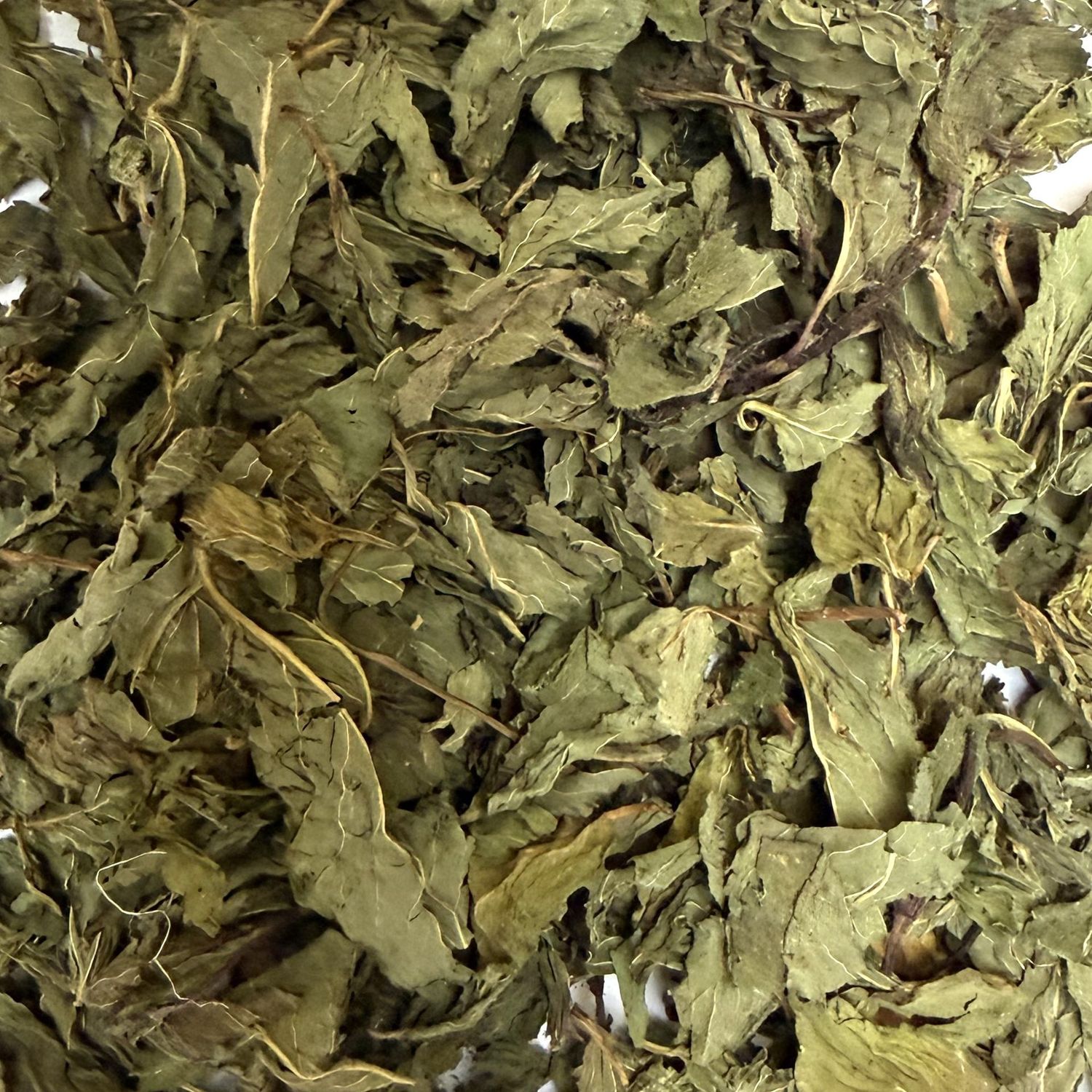 Menthe poivree feuille calibree vrac 100g Mentha piperita tisane plante sèche
