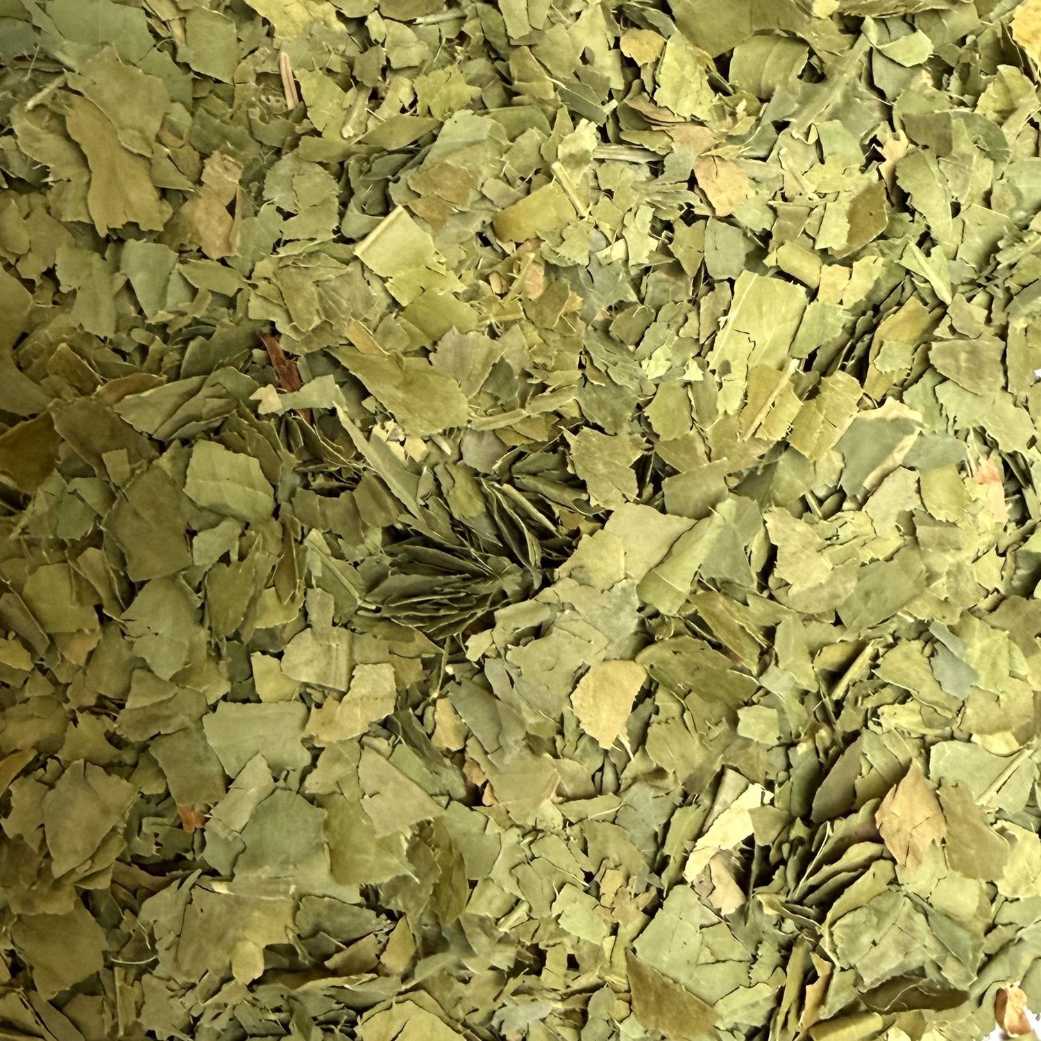 Oranger bigaradier feuille vrac 100g Citrus aurantium tisane plante sèche