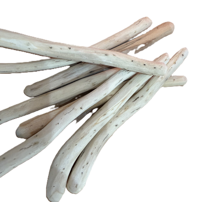Bâton de Guimauve naturel (Althaea officinalis) vendu à l'unité – racine entière