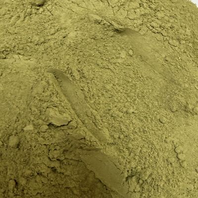 Jujubier (Ziziphus jujuba) poudre 100 g Poudre de feuilles de jujubier (Ziziphus jujuba) en vrac 100 g
