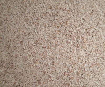 Psyllium blond – Téguments en vrac 200 g | Plantago ovata Téguments de psyllium blond (Plantago ovata) en vrac 200 g à l'Herboristerie Cousin à Wattrelos.