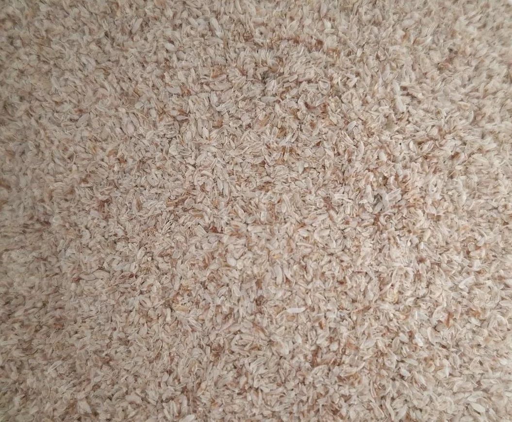 Psyllium blond – Téguments en vrac 600 g | Plantago ovata Téguments de psyllium blond Plantago ovata – en vrac 600 g à l'Herboristerie Cousin à Wattrelos.