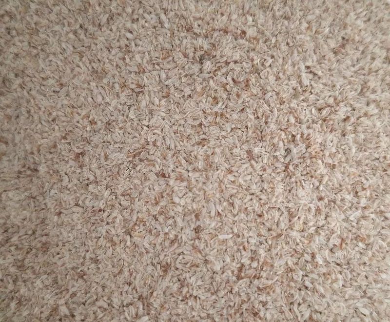 Psyllium blond – Téguments en vrac 600 g | Plantago ovata Téguments de psyllium blond Plantago ovata – en vrac 600 g à l'Herboristerie Cousin à Wattrelos.