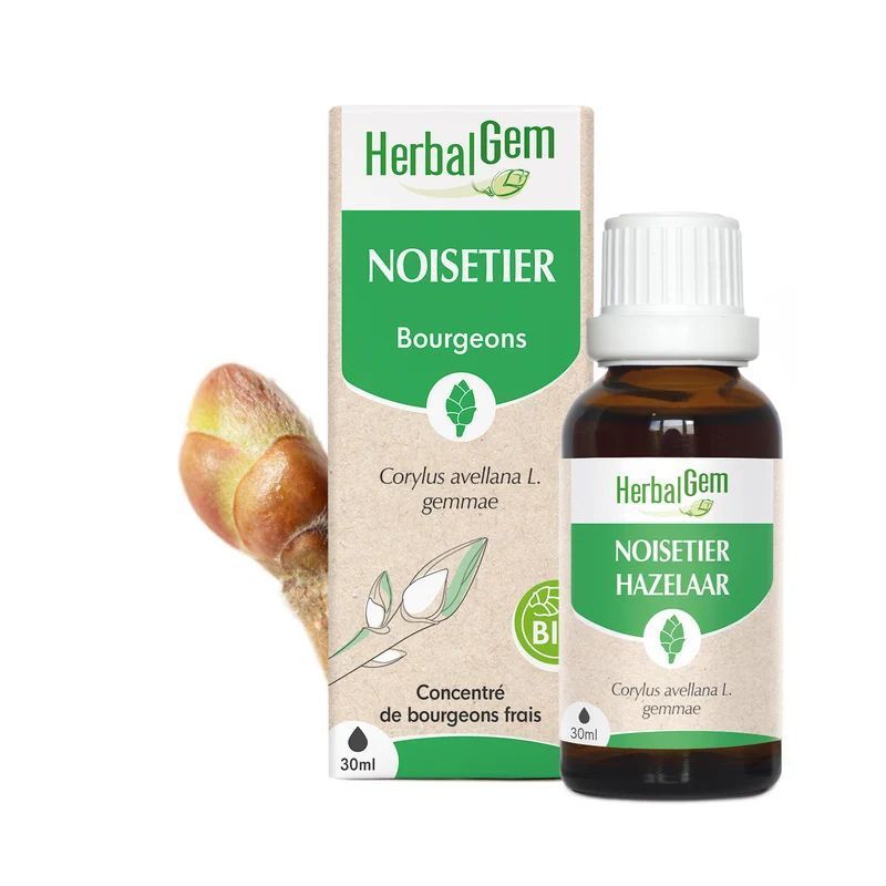 Bourgeon de Noisetier Bio HerbalGem – 30 ml Bourgeon de Noisetier Bio HerbalGem, macérat glycériné de bourgeons de Corylus avellana, flacon 30 ml