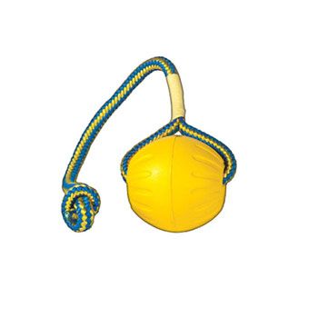 Bola Swing -N- Fling