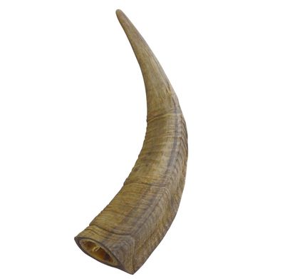 Cacho de Cabra Gobi