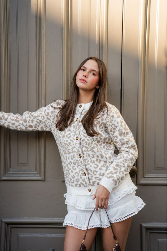 Cheetah Print Button Sweater