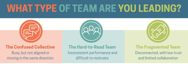 What Type of Team Are You Leading
