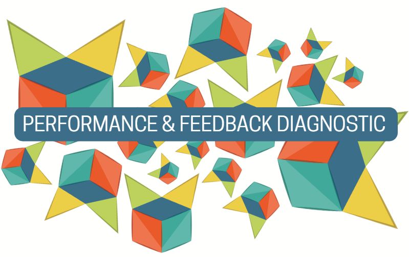 Performance and Feedback Diagnostic