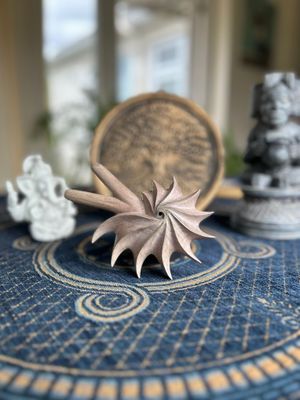 Fibonacci Kuripe - Dark Waru Wood