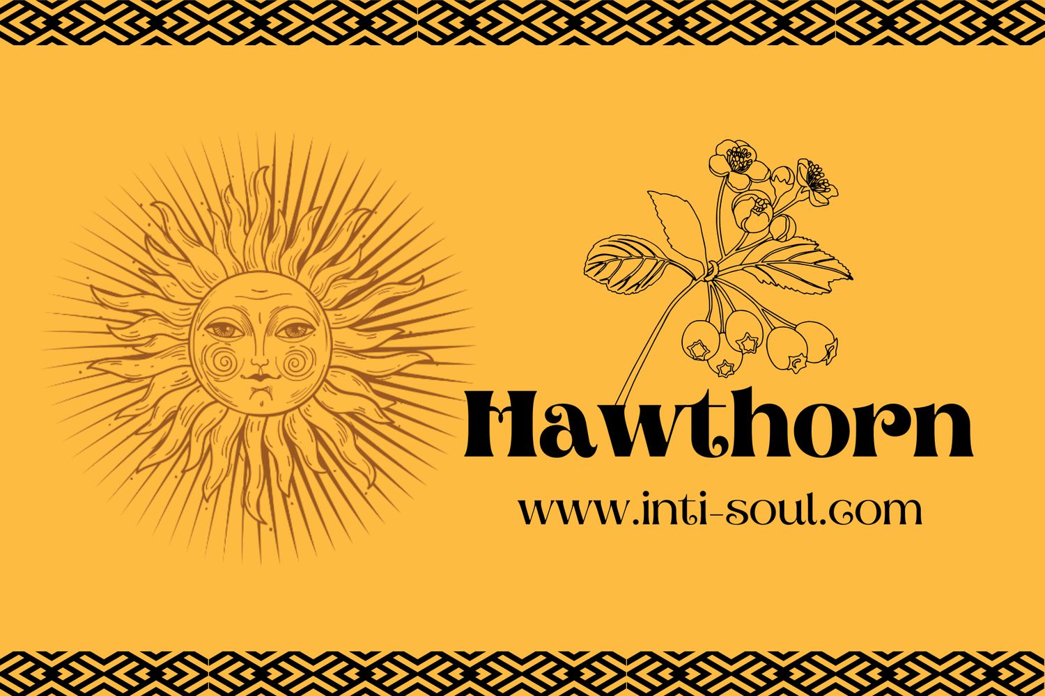 Hawthorn - Inti Soul Original