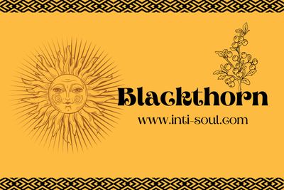 Blackthorn - Inti Soul Original
