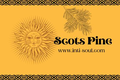 Scots Pine - Inti Soul Original