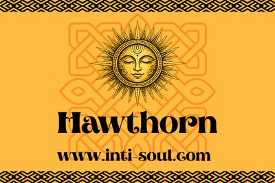 Hawthorn - Inti Soul Original Hawthorn - Inti Soul Original